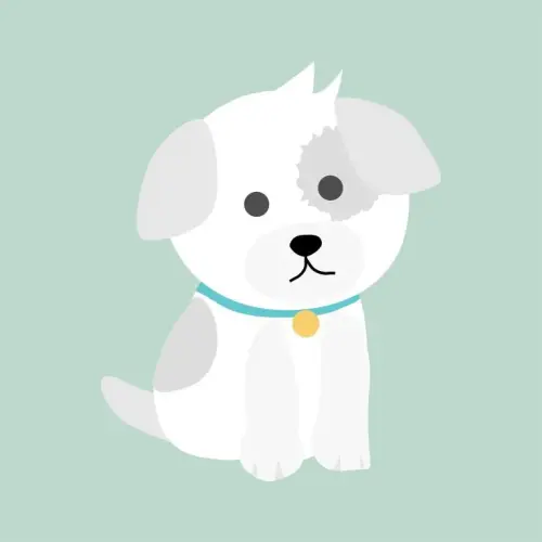 Pixabay Illustration